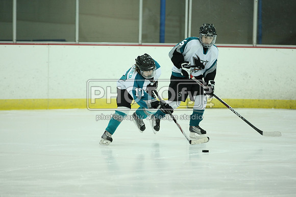 ICEPAL_2-20-12_1028