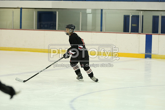ICEPAL_2-20-12_1093