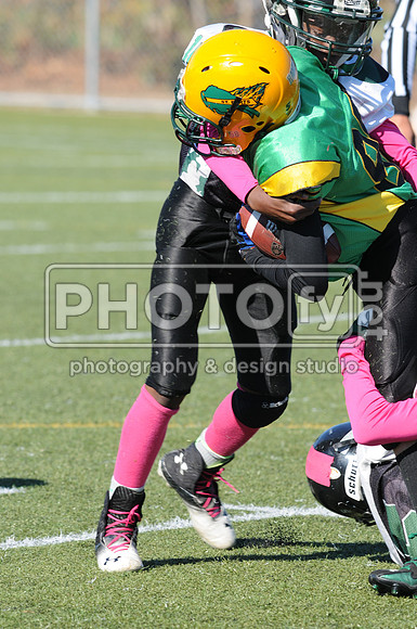 NJAYF_10-27-13__2014