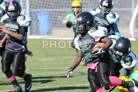 NJAYF_10-27-13__1901
