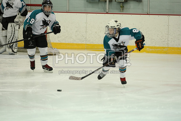 ICEPAL_2-20-12_1082