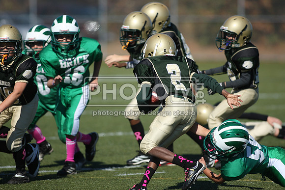 BDHS_10-20-13__1736