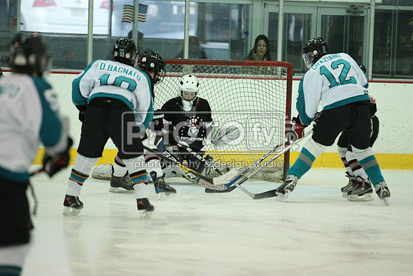 ICEPAL_2-20-12_1041