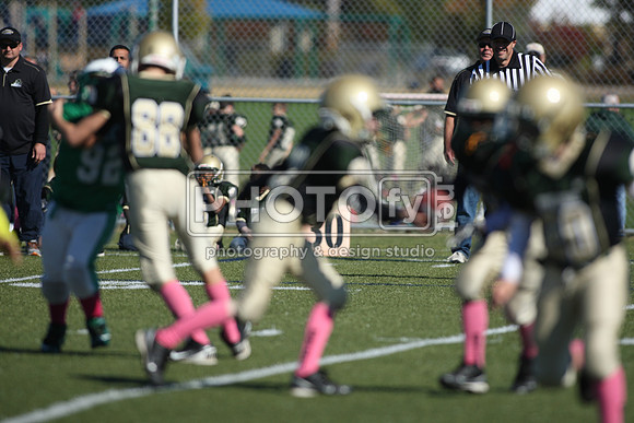 BDHS_10-20-13__1424
