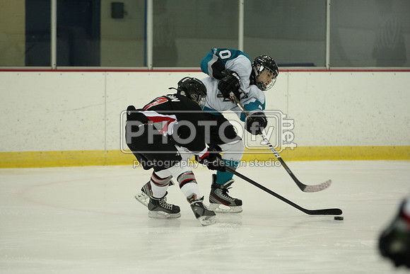 ICEPAL_2-20-12_1126