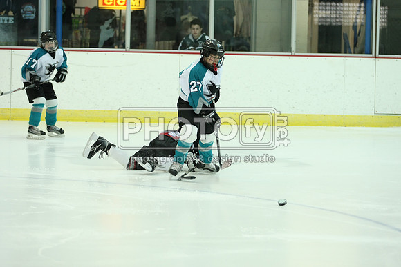 ICEPAL_2-20-12_1047