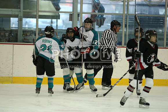 ICEPAL_2-20-12_1174