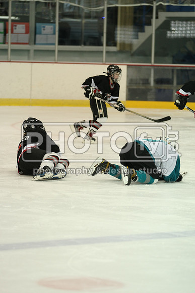 ICEPAL_2-20-12_1061