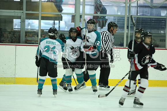 ICEPAL_2-20-12_1173