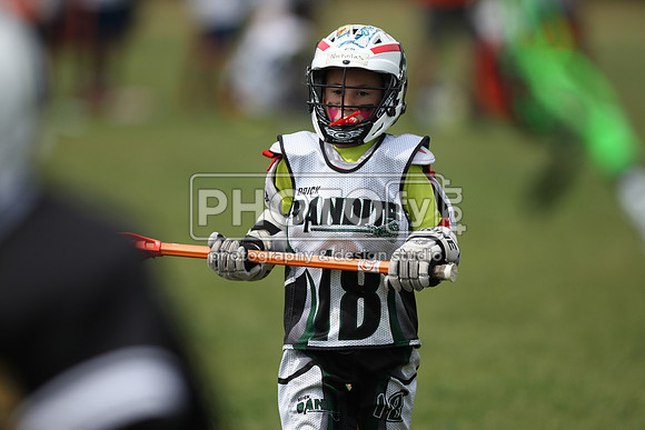 BYLT_05-17-15_10489