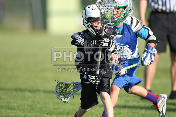 BLSWT_05-18-14_1133