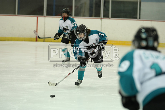 ICEPAL_2-20-12_1030