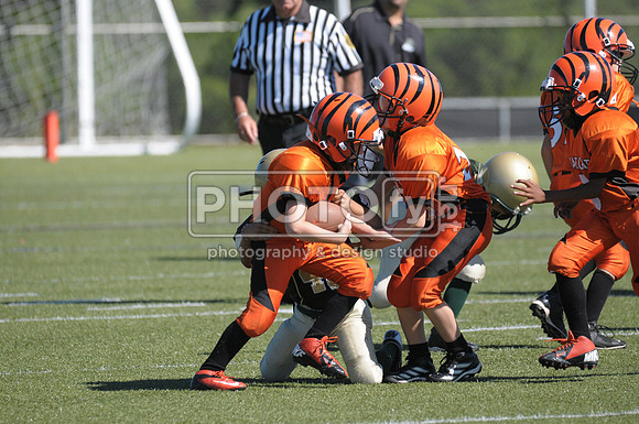 BMAYF_9-22-13_1565