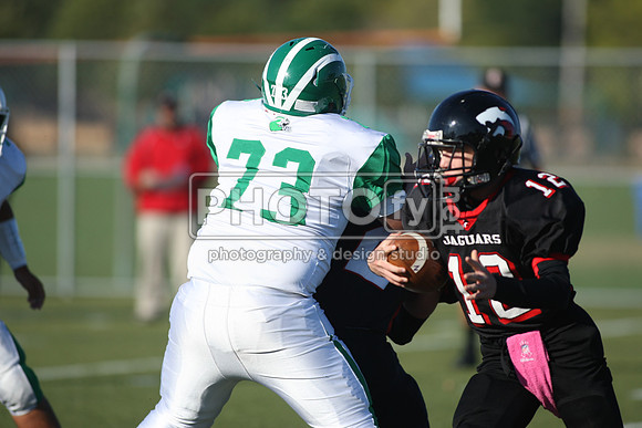 BDHS_10-6-14_1251