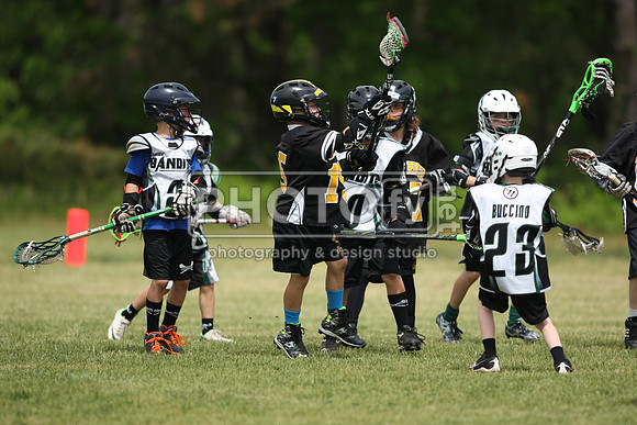 BYLT_05-17-15_10437