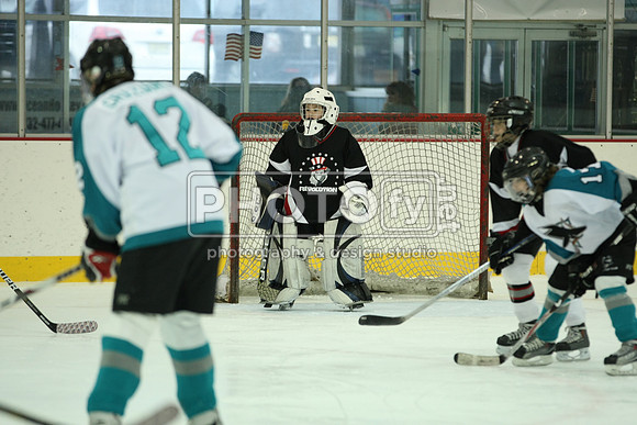 ICEPAL_2-20-12_1164