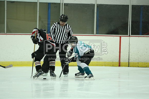 ICEPAL_2-20-12_1108