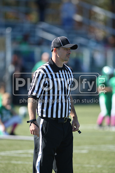 BDHS_10-20-13__2006