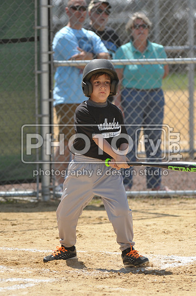 PPBLL_4-18-15_2451
