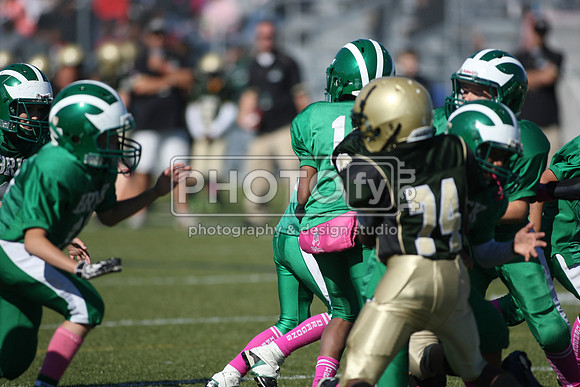 BDHS_10-20-13__2021