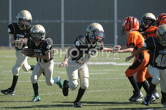 BMAYF_9-22-13_1443