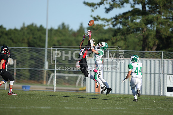 BDHS_10-6-14_1410