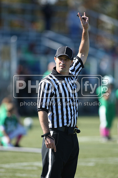 BDHS_10-20-13__2010