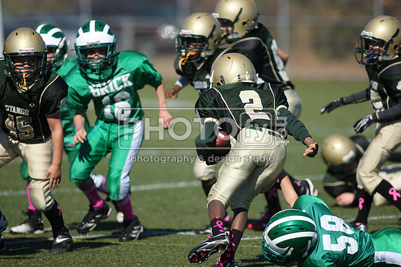 BDHS_10-20-13__1737