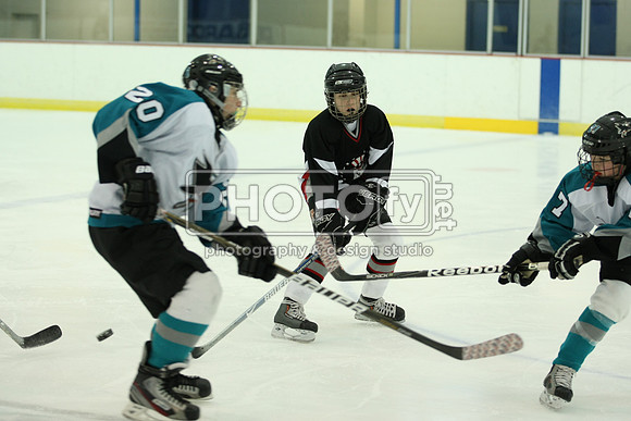 ICEPAL_2-20-12_1151