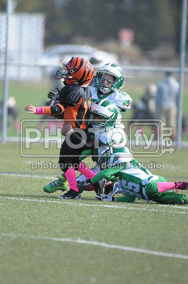 BDAYF_10-19-14_1098