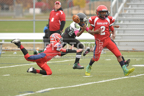 NJAYF_11-3-13_1126
