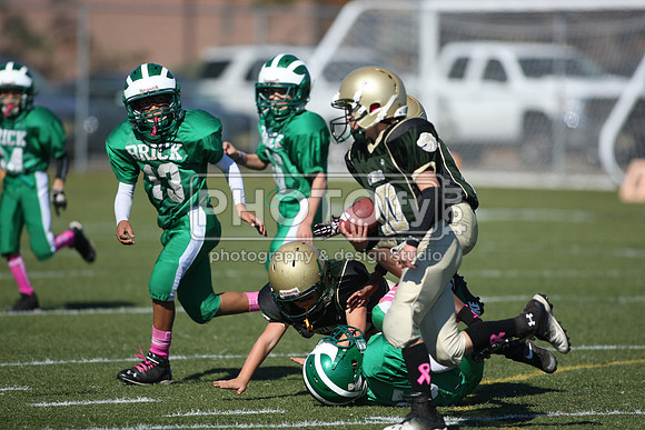 BDHS_10-20-13__1791