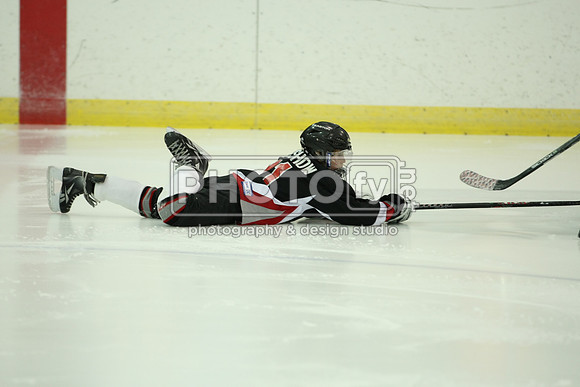 ICEPAL_2-20-12_1043