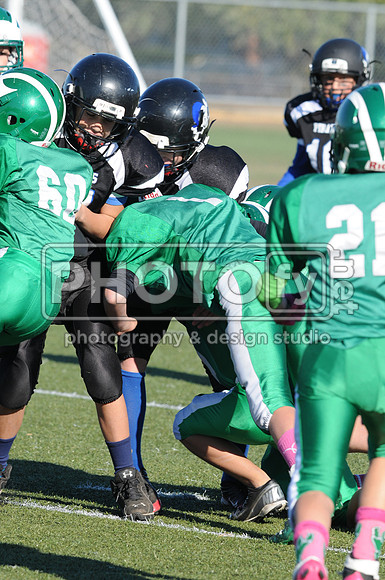 NJAYF_10-27-13__2266