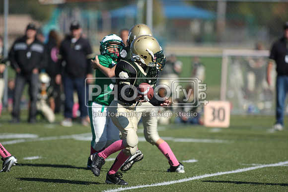 BDHS_10-20-13__1421