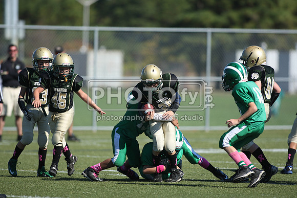BDHS_10-20-13__2092