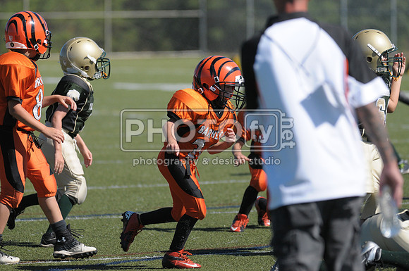 BMAYF_9-22-13_1515