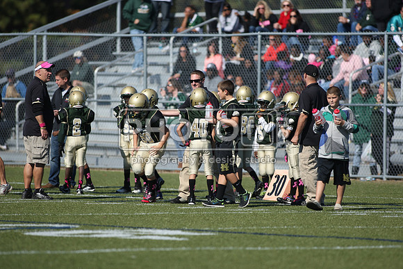 BDHS_10-20-13__2043