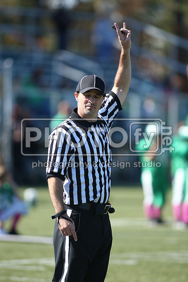 BDHS_10-20-13__2011