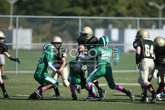 BDHS_10-20-13__2085