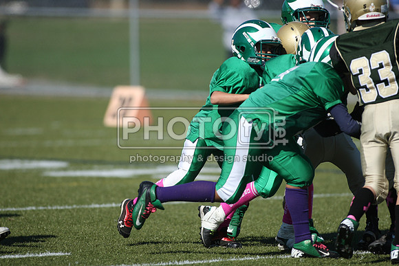BDHS_10-20-13__2027