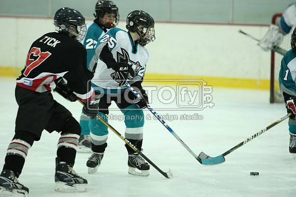 ICEPAL_2-20-12_1135