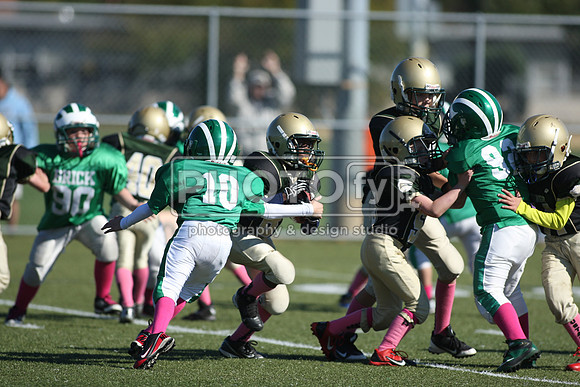 BDHS_10-20-13__1502