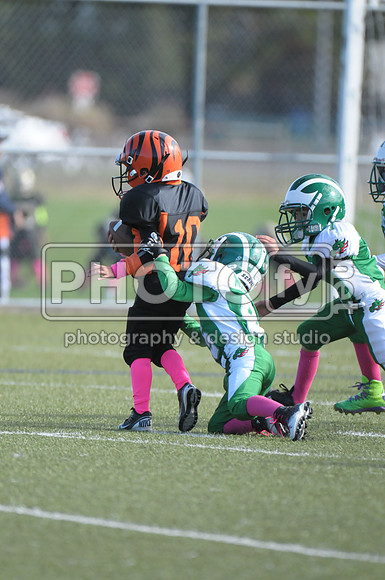 BDAYF_10-19-14_1094