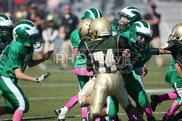 BDHS_10-20-13__2022