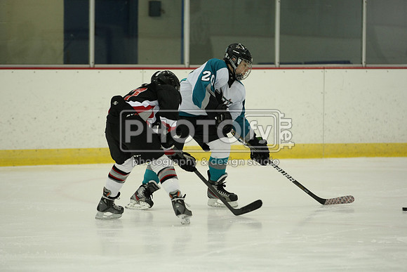 ICEPAL_2-20-12_1128