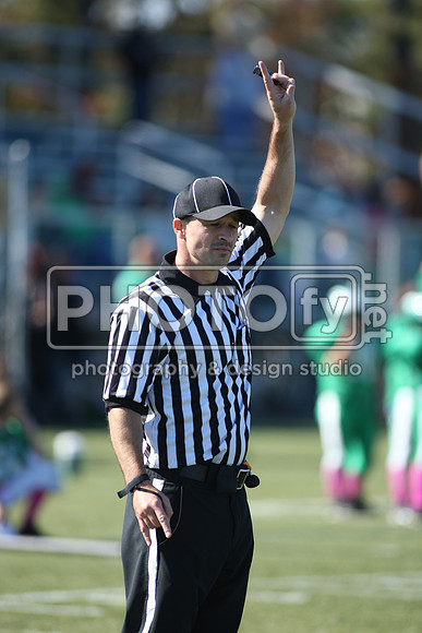 BDHS_10-20-13__2012