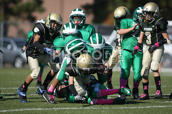 BDHS_10-20-13__2126