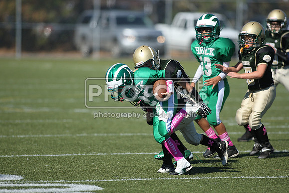 BDHS_10-20-13__1691