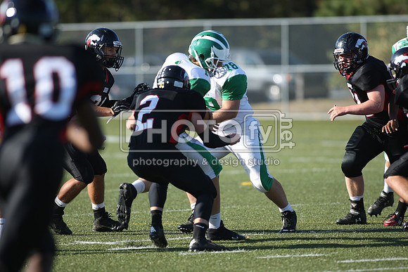 BDHS_10-6-14_1195